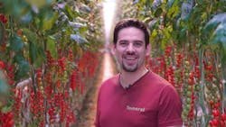 Tomerel CEO and co-owner Jelle de Ryck grows tomatoes and generates electricity.
