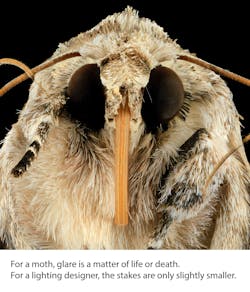 To tease Hero’s release, Glint noted the danger of glare to moths and lighting designers alike. To tease Hero’s release, Glint noted the danger of glare to moths and lighting designers alike.