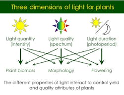 Guide provides fundamentals on how different light characteristics such as intensity, spectrum, and photoperiod influence plant physiology and growth patterns. (Image from p. 13 of &ldquo;Best Practices Guide &mdash; Lighting for Controlled Environment Agriculture Operations&rdquo; - https://bit.ly/3ByueDQ.)