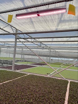 Sustainable controlled environment agriculture practices can go beyond the use of LED luminaires, environmental hardiness, and light recipes to incorporate recyclable fixture materials and replaceable components while increasing growers&rsquo; return on investment.