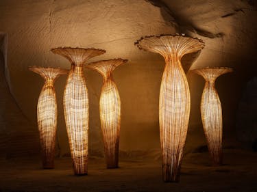 Aurora Collection - Handmade Luxury Bulbs & Lighting – Space Artsy
