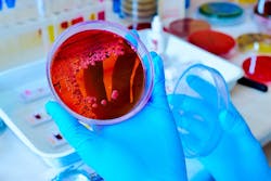 Dreamstime Xl 131289960 633f4d096961b Dreamstime Xl 131289960 633f4d096961b