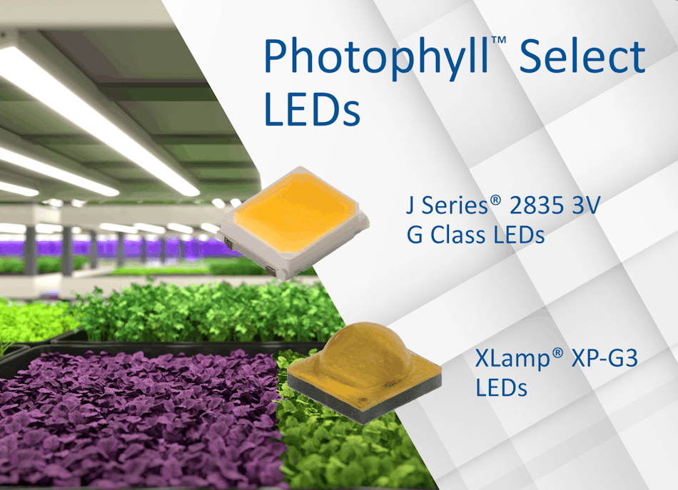 Photophyll Select LEDs available in XLamp and J Series families, Cree LED