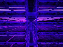 These lights are going out at Fifth Season&rsquo;s vertical farm, located next to U.S. Steel&rsquo;s Edgar Thompson Steel Works in Braddock, Penn., (pictured below) down the road from the grower&rsquo;s Pittsburgh headquarters.