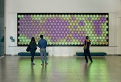 Regent Properties’ “Chameleon” wall installation (San Diego). Regent Properties’ “Chameleon” wall installation (San Diego).