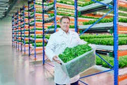 We’ve now got chefs coming back to us and asking us what else can we grow,” says Kieran Dowd of Emirates Flight Catering. We’ve now got chefs coming back to us and asking us what else can we grow,” says Kieran Dowd of Emirates Flight Catering.