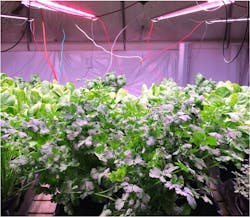 Libra Design leverages deep supply-chain relationships in order to develop fixtures that are priced according to the functionality each customer requires, rather than increasing price with unnecessary features. Libra Design leverages deep supply-chain relationships in order to develop fixtures that are priced according to the functionality each customer requires, rather than increasing price with unnecessary features.