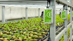 Receivers like these in the Hardee Fresh facility safely distribute the DC power to LED fixtures and other hardware in the humid growing environment. Receivers like these in the Hardee Fresh facility safely distribute the DC power to LED fixtures and other hardware in the humid growing environment.