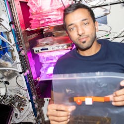 UAE astronaut Sultan Alneyadi harvests dwarf tomatoes into a bag on the International Space Station. (Image used under CC BY-NC-ND 2.0 - https://www.flickr.com/photos/nasa2explore/52736758399/)
