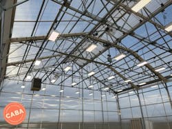 Ct141 Dli Detective 64359ce43be71 Ct141 Dli Detective 64359ce43be71