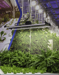 Cree LED Photophyll Select LEDs (shown in LightFair 2022 demo) – 4 Cree LED Photophyll Select LEDs (shown in LightFair 2022 demo) – 4