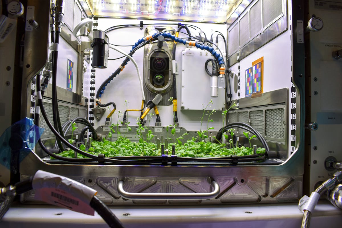 Grow top station led