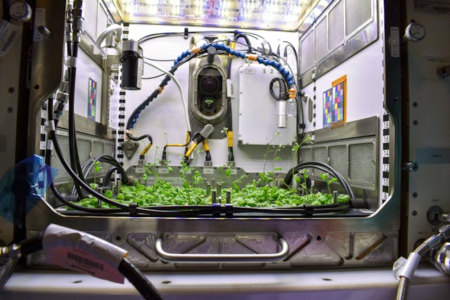 Grow station led store 640