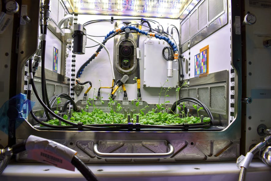 This Advanced Plant Habitat at NASA&rsquo;s Kennedy Space Center in Florida, with thale cress growing under the LEDs, is similar to the APH aboard the Space Station.