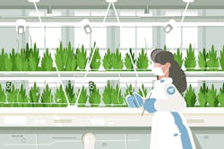 Dreamstime 137490193 Converted 6483292b47e2d Dreamstime 137490193 Converted 6483292b47e2d