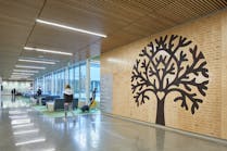 Lighting designer Aprille Balangue assisted Washington&rsquo;s Madrona School in realizing the potential of its new LED lighting through luminaire level lighting controls.