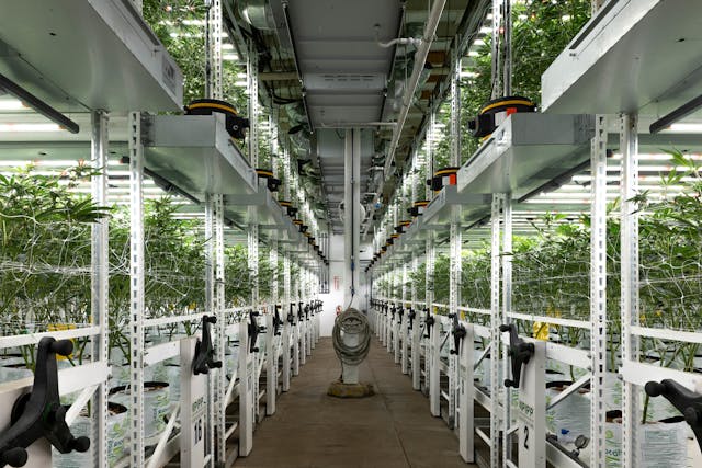Grow station led 640 online