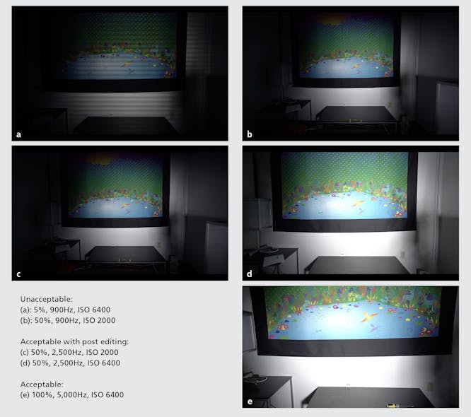 FIG. 4. Screenshots from video recordings of the experimental conditions.