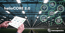 90ef3f65599dc608 800x800ar 65205c333e88f 90ef3f65599dc608 800x800ar 65205c333e88f