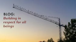 Blog Birds 101123 6526c9cbb65de Blog Birds 101123 6526c9cbb65de