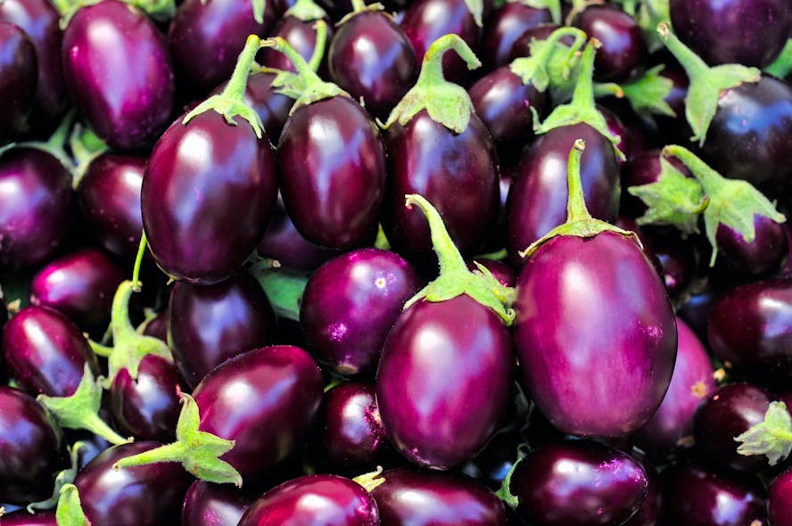 Proplant sells its propagating eggplants, tomatoes, and other crops to other growers who nurture them to maturity. It is trialing dynamic spectrum lighting as a means towards a healthy end product.
