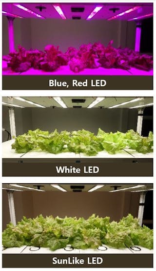 Sunlike led grow shop lights