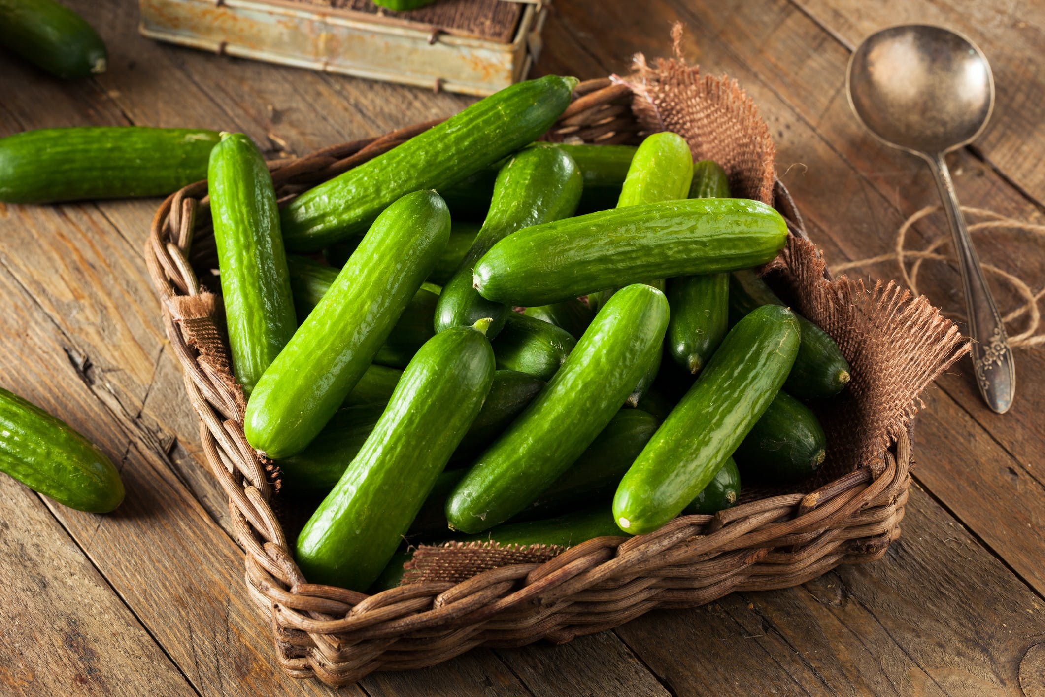 Canadian grower trialing far-red LEDs on mini cucumbers - Vimarsana News