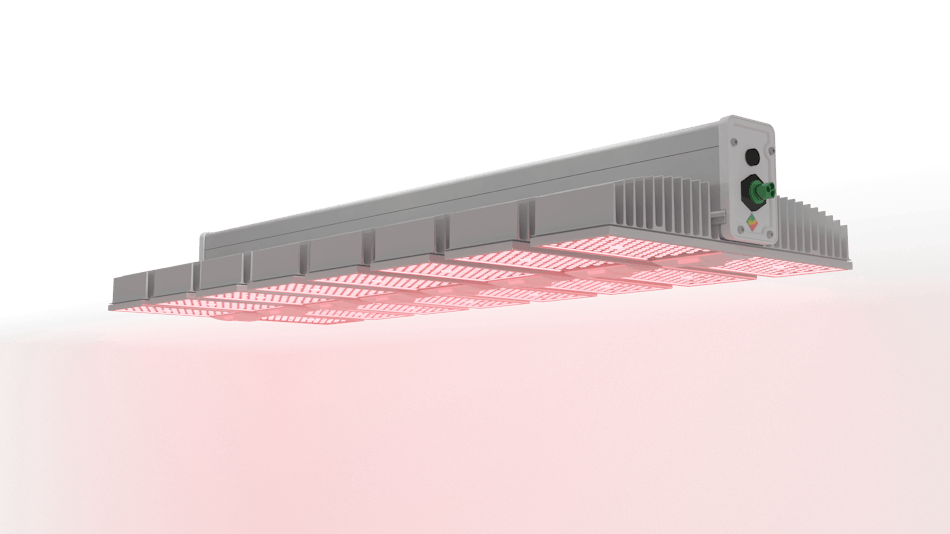 Hortilux lights sale