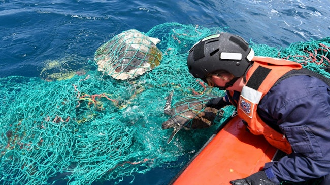 Sea turtles commonly ensnare themselves in fishing nets. In this photo, a U.S. Coast Guard officer frees one in the Atlantic Ocean off the coast of Africa.