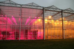 Wageningen University &amp; Research has been studying LED light recipes in general for some time at its facilities in Bleiswijk, the Netherlands, pictured above in a photo that predates the new &ldquo;red-only&rdquo; trial with Signify.