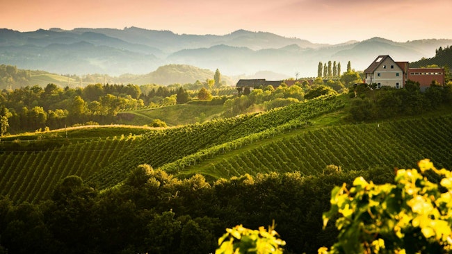 The planned ams Osram factory has the Austria government and the Austrian state of Styria (pictured) proclaiming that the hills are alive with the sound of semiconductors.